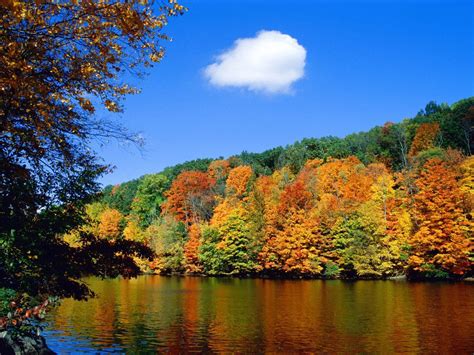 autumn laptop backgrounds|free autumn desktop wallpaper backgrounds.